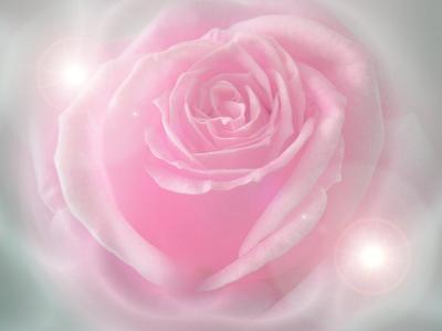 Козметика от ДОЛИНАТА НА РОЗИТЕ Серия РОЗА ДАМАСЦЕНА с натурално розово масло, натурална розова вода и йогурт лактобацилус булгарикус Балсам за коса 
